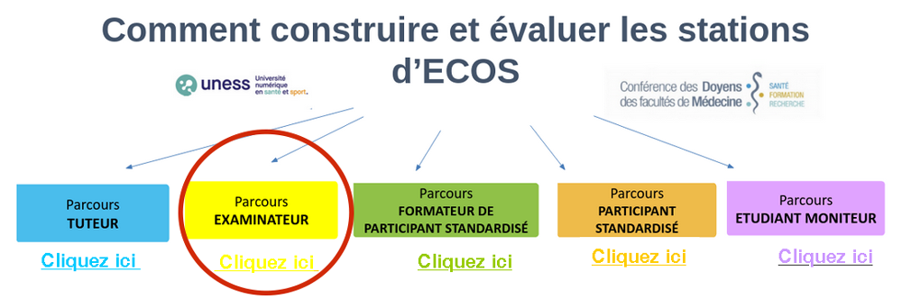 formation ECOS