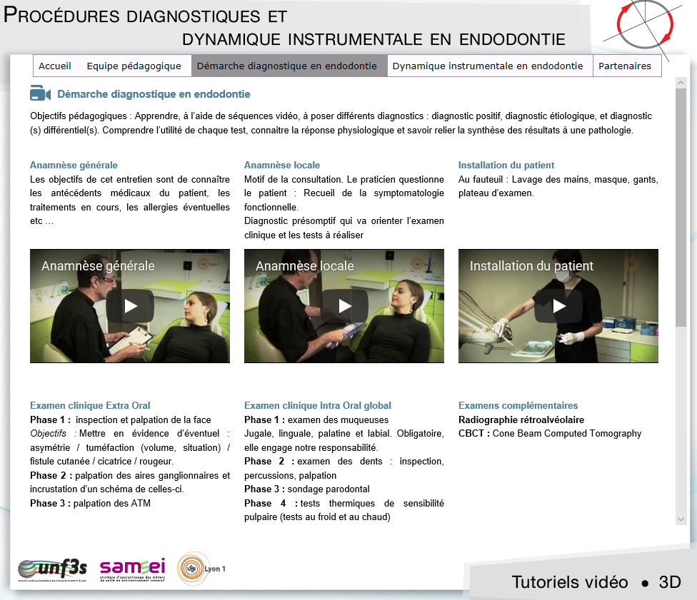 endontie 