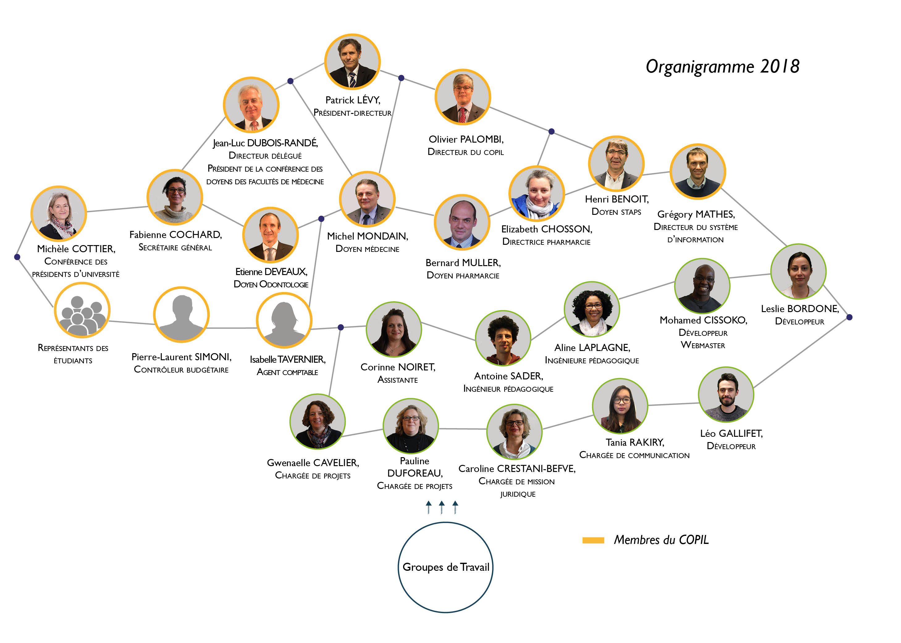 organigramme uness
