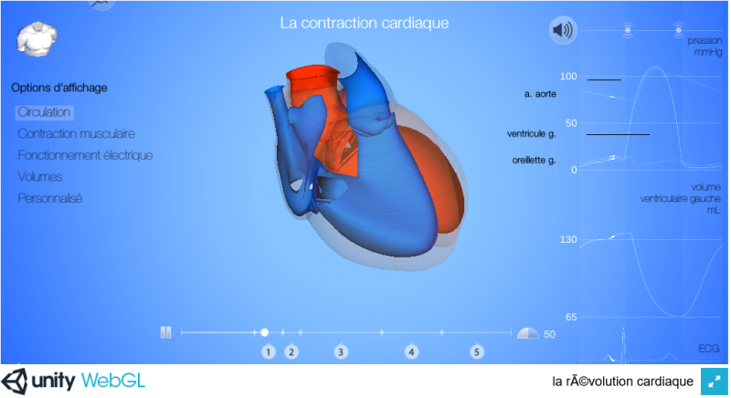 Révolution cardiaque