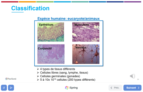 Licences Sciences pour la Santé - Biologie cellulaire (UVSQ)