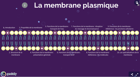 Kit Mineures Santé - Bilogie cellulaire : la membrane plasmique (Université Caen-Normandie)