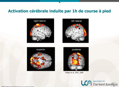 Kit Mineures Santé - Santé publique : Sédentarité et activité physique (UCA)