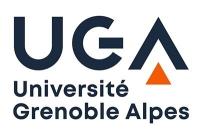 université Grenoble Alpes